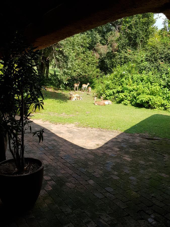 Kruger Park Lodge Unit No. 277 Хейзивю Екстериор снимка